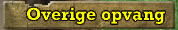Overige opvang